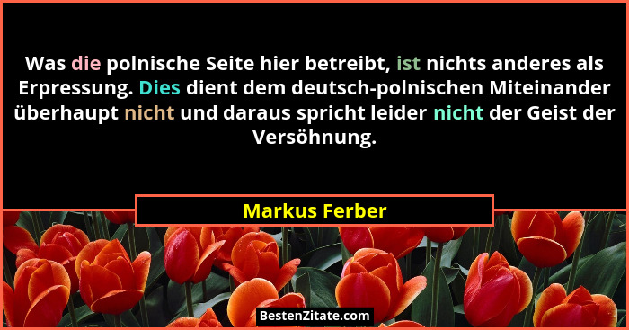 Was die polnische Seite hier betreibt, ist nichts anderes als Erpressung. Dies dient dem deutsch-polnischen Miteinander überhaupt nich... - Markus Ferber