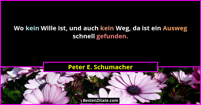 Wo kein Wille ist, und auch kein Weg, da ist ein Ausweg schnell gefunden.... - Peter E. Schumacher