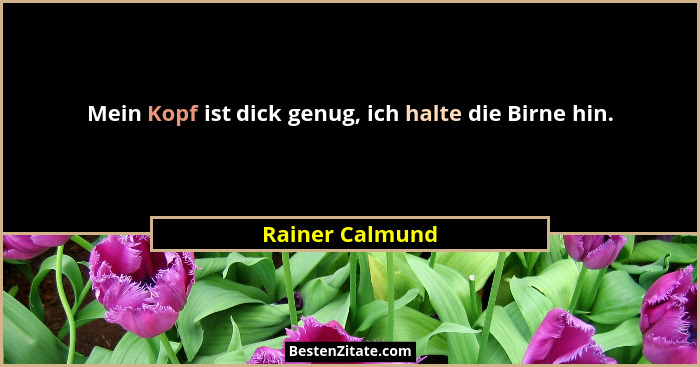 Mein Kopf ist dick genug, ich halte die Birne hin.... - Rainer Calmund