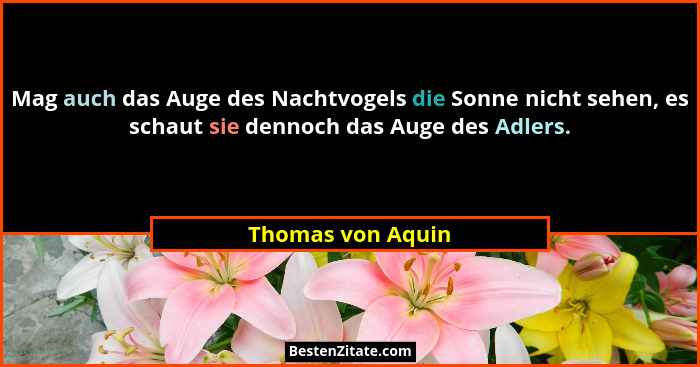 Mag auch das Auge des Nachtvogels die Sonne nicht sehen, es schaut sie dennoch das Auge des Adlers.... - Thomas von Aquin