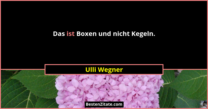 Das ist Boxen und nicht Kegeln.... - Ulli Wegner