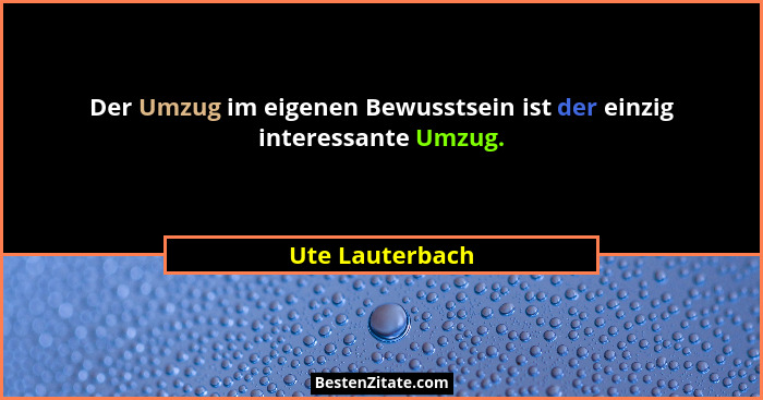 Der Umzug im eigenen Bewusstsein ist der einzig interessante Umzug.... - Ute Lauterbach