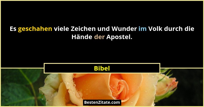 Es geschahen viele Zeichen und Wunder im Volk durch die Hände der Apostel.... - Bibel