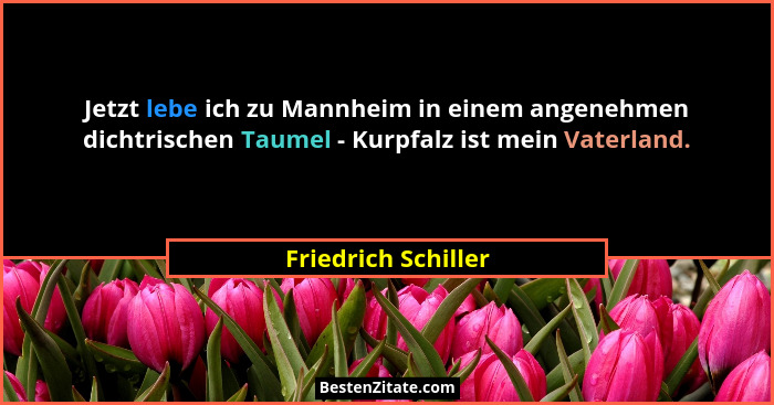 Jetzt lebe ich zu Mannheim in einem angenehmen dichtrischen Taumel - Kurpfalz ist mein Vaterland.... - Friedrich Schiller