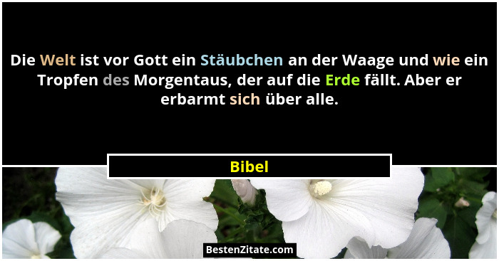 Die Welt ist vor Gott ein Stäubchen an der Waage und wie ein Tropfen des Morgentaus, der auf die Erde fällt. Aber er erbarmt sich über alle.... - Bibel