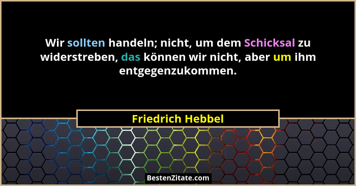 Wir sollten handeln; nicht, um dem Schicksal zu widerstreben, das können wir nicht, aber um ihm entgegenzukommen.... - Friedrich Hebbel