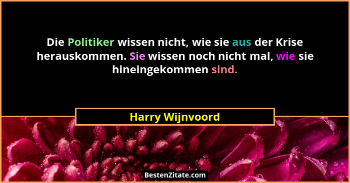 Die Politiker wissen nicht, wie sie aus der Krise herauskommen. Sie wissen noch nicht mal, wie sie hineingekommen sind.... - Harry Wijnvoord