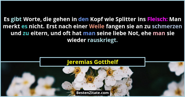 Es gibt Worte, die gehen in den Kopf wie Splitter ins Fleisch: Man merkt es nicht. Erst nach einer Weile fangen sie an zu schmerze... - Jeremias Gotthelf