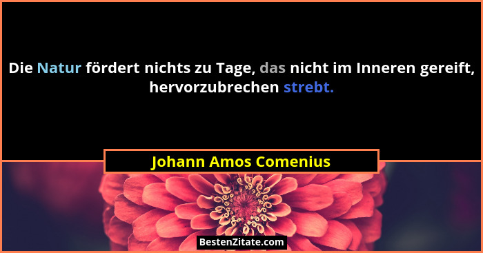 Die Natur fördert nichts zu Tage, das nicht im Inneren gereift, hervorzubrechen strebt.... - Johann Amos Comenius