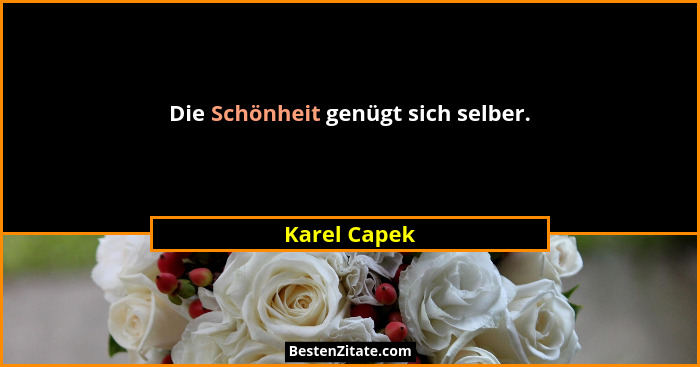 Die Schönheit genügt sich selber.... - Karel Capek