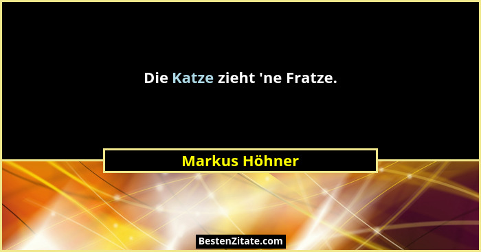 Die Katze zieht 'ne Fratze.... - Markus Höhner
