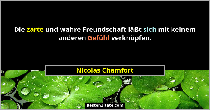 Die zarte und wahre Freundschaft läßt sich mit keinem anderen Gefühl verknüpfen.... - Nicolas Chamfort