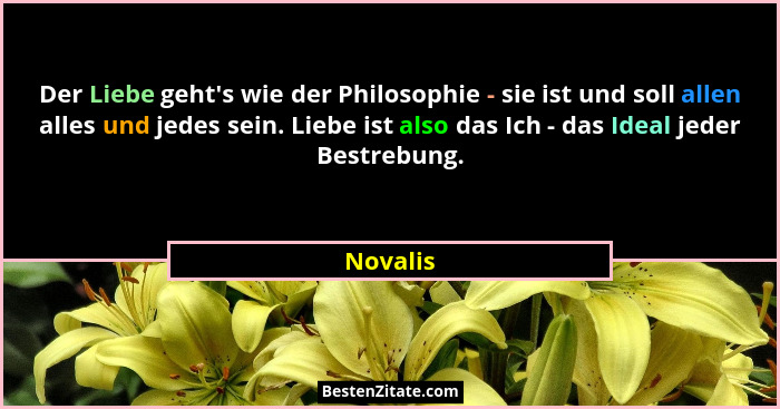 Der Liebe geht's wie der Philosophie - sie ist und soll allen alles und jedes sein. Liebe ist also das Ich - das Ideal jeder Bestrebung.... - Novalis