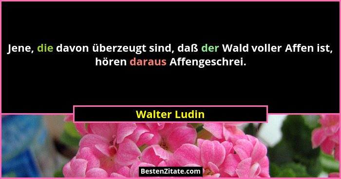 Jene, die davon überzeugt sind, daß der Wald voller Affen ist, hören daraus Affengeschrei.... - Walter Ludin