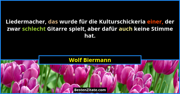 Liedermacher, das wurde für die Kulturschickeria einer, der zwar schlecht Gitarre spielt, aber dafür auch keine Stimme hat.... - Wolf Biermann
