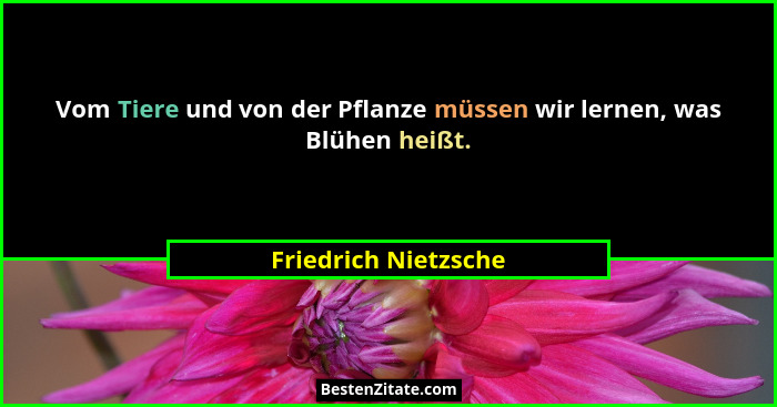 Vom Tiere und von der Pflanze müssen wir lernen, was Blühen heißt.... - Friedrich Nietzsche
