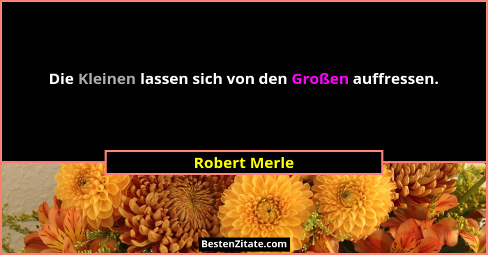 Die Kleinen lassen sich von den Großen auffressen.... - Robert Merle