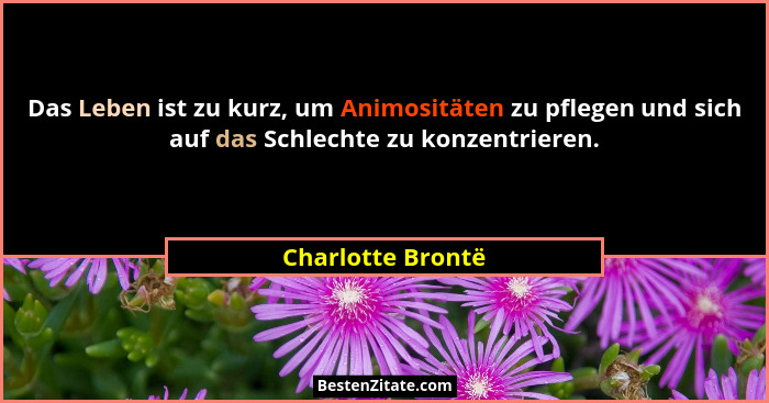Das Leben ist zu kurz, um Animositäten zu pflegen und sich auf das Schlechte zu konzentrieren.... - Charlotte Brontë