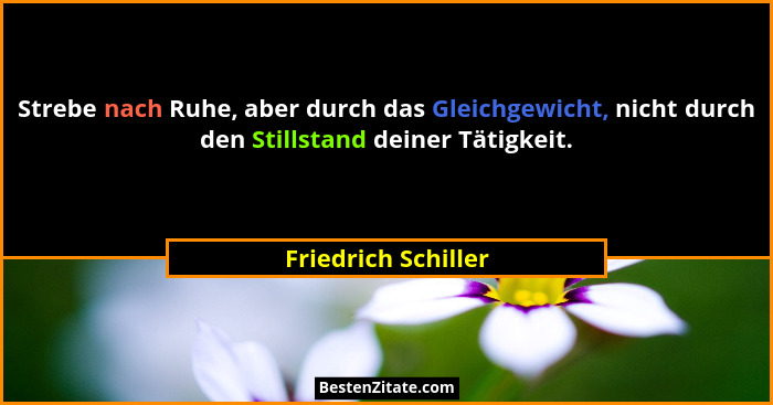 Strebe nach Ruhe, aber durch das Gleichgewicht, nicht durch den Stillstand deiner Tätigkeit.... - Friedrich Schiller