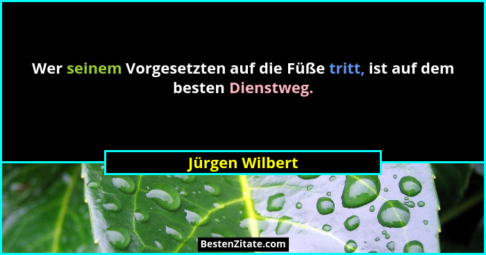 Wer seinem Vorgesetzten auf die Füße tritt, ist auf dem besten Dienstweg.... - Jürgen Wilbert