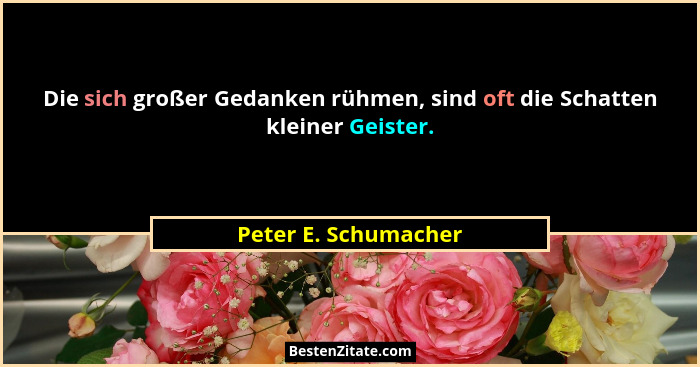 Die sich großer Gedanken rühmen, sind oft die Schatten kleiner Geister.... - Peter E. Schumacher