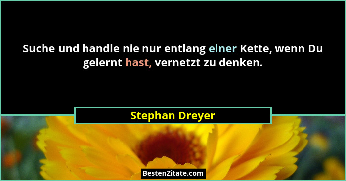 Suche und handle nie nur entlang einer Kette, wenn Du gelernt hast, vernetzt zu denken.... - Stephan Dreyer