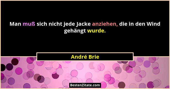 Man muß sich nicht jede Jacke anziehen, die in den Wind gehängt wurde.... - André Brie