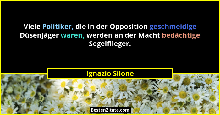 Viele Politiker, die in der Opposition geschmeidige Düsenjäger waren, werden an der Macht bedächtige Segelflieger.... - Ignazio Silone