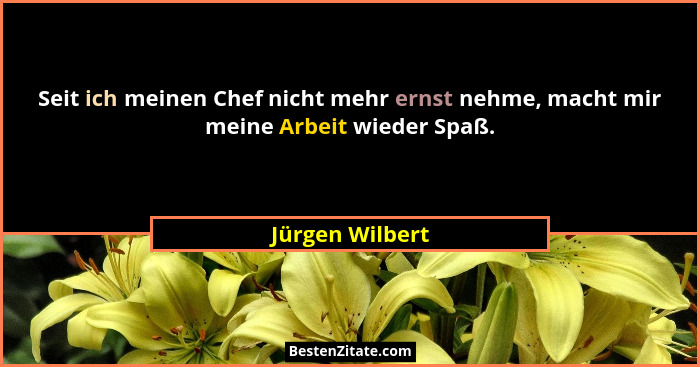 Seit ich meinen Chef nicht mehr ernst nehme, macht mir meine Arbeit wieder Spaß.... - Jürgen Wilbert