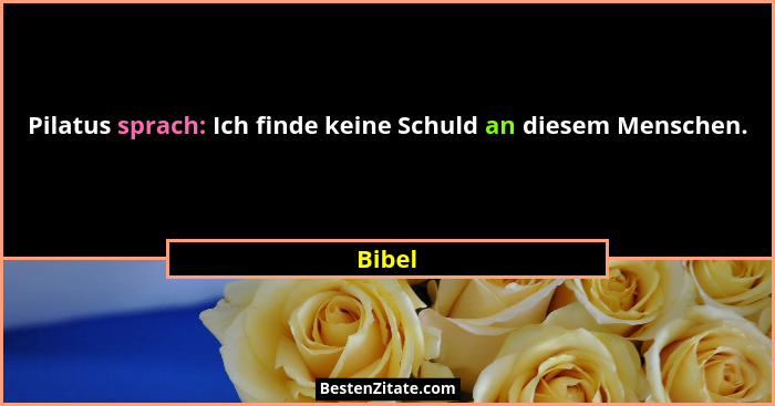 Pilatus sprach: Ich finde keine Schuld an diesem Menschen.... - Bibel