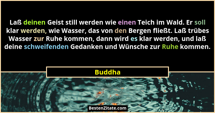 Laß deinen Geist still werden wie einen Teich im Wald. Er soll klar werden, wie Wasser, das von den Bergen fließt. Laß trübes Wasser zur Ruhe... - Buddha