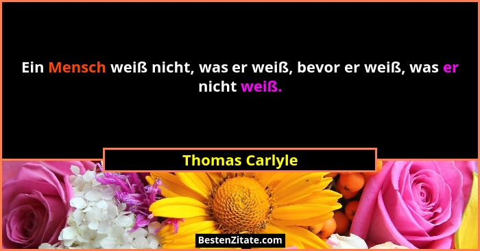Ein Mensch weiß nicht, was er weiß, bevor er weiß, was er nicht weiß.... - Thomas Carlyle