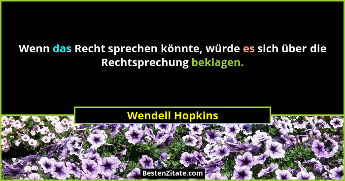 Wenn das Recht sprechen könnte, würde es sich über die Rechtsprechung beklagen.... - Wendell Hopkins