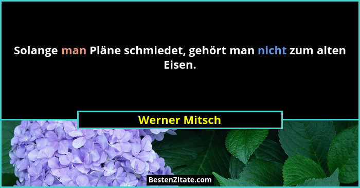 Solange man Pläne schmiedet, gehört man nicht zum alten Eisen.... - Werner Mitsch