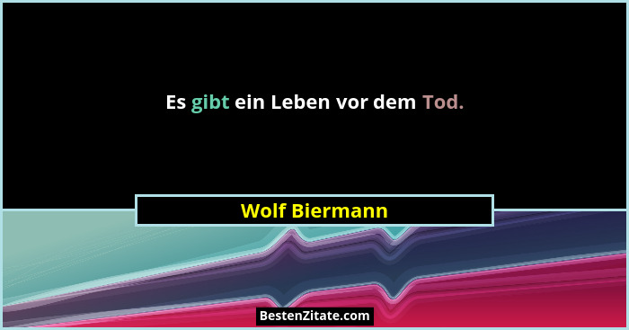 Es gibt ein Leben vor dem Tod.... - Wolf Biermann