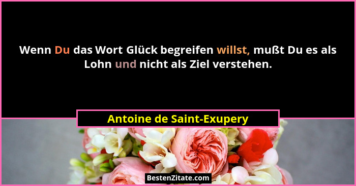 Wenn Du das Wort Glück begreifen willst, mußt Du es als Lohn und nicht als Ziel verstehen.... - Antoine de Saint-Exupery