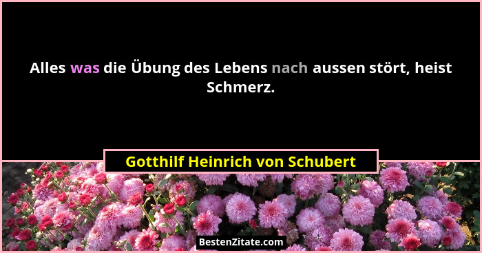 Alles was die Übung des Lebens nach aussen stört, heist Schmerz.... - Gotthilf Heinrich von Schubert
