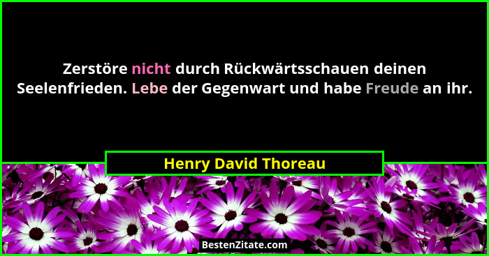 Zerstöre nicht durch Rückwärtsschauen deinen Seelenfrieden. Lebe der Gegenwart und habe Freude an ihr.... - Henry David Thoreau