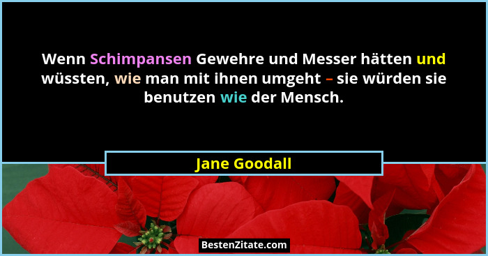 Wenn Schimpansen Gewehre und Messer hätten und wüssten, wie man mit ihnen umgeht – sie würden sie benutzen wie der Mensch.... - Jane Goodall