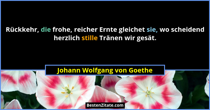 Rückkehr, die frohe, reicher Ernte gleichet sie, wo scheidend herzlich stille Tränen wir gesät.... - Johann Wolfgang von Goethe