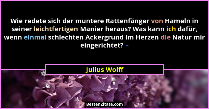 Wie redete sich der muntere Rattenfänger von Hameln in seiner leichtfertigen Manier heraus? Was kann ich dafür, wenn einmal schlechten... - Julius Wolff