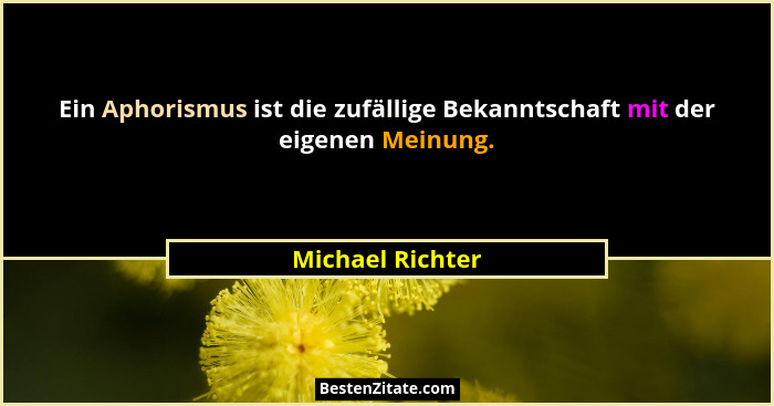 Ein Aphorismus ist die zufällige Bekanntschaft mit der eigenen Meinung.... - Michael Richter