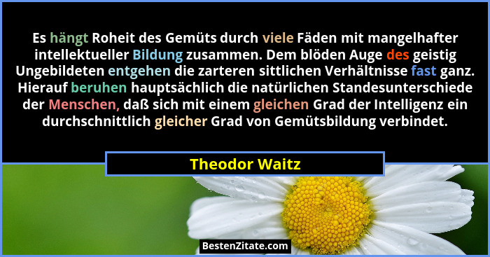 Es hängt Roheit des Gemüts durch viele Fäden mit mangelhafter intellektueller Bildung zusammen. Dem blöden Auge des geistig Ungebildet... - Theodor Waitz