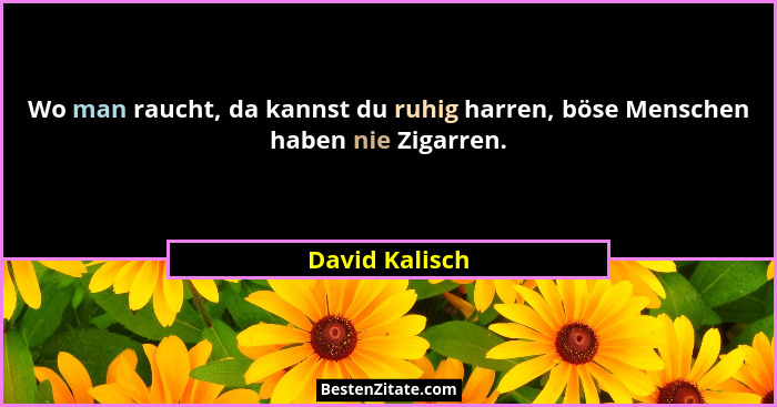 Wo man raucht, da kannst du ruhig harren, böse Menschen haben nie Zigarren.... - David Kalisch