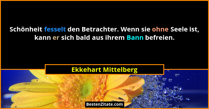 Schönheit fesselt den Betrachter. Wenn sie ohne Seele ist, kann er sich bald aus ihrem Bann befreien.... - Ekkehart Mittelberg