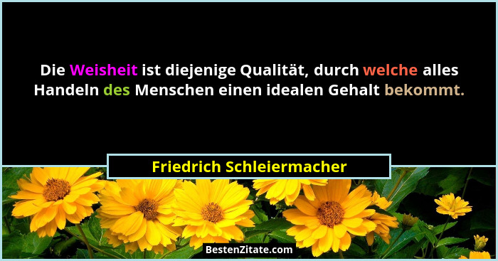 Die Weisheit ist diejenige Qualität, durch welche alles Handeln des Menschen einen idealen Gehalt bekommt.... - Friedrich Schleiermacher