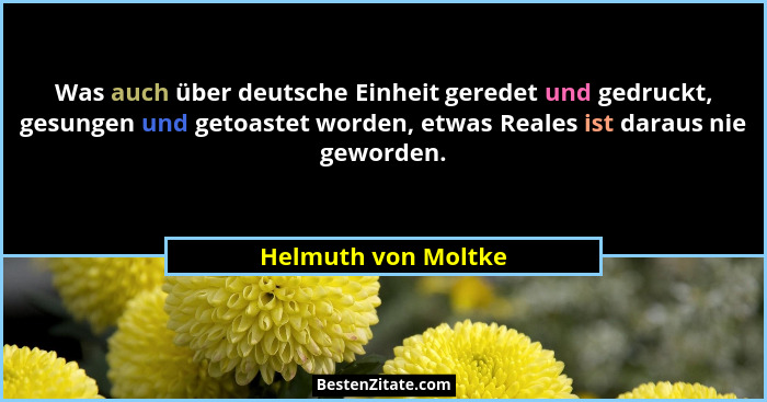 Was auch über deutsche Einheit geredet und gedruckt, gesungen und getoastet worden, etwas Reales ist daraus nie geworden.... - Helmuth von Moltke