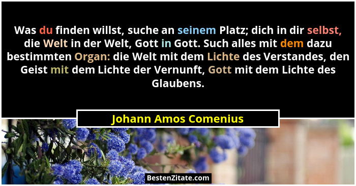 Was du finden willst, suche an seinem Platz; dich in dir selbst, die Welt in der Welt, Gott in Gott. Such alles mit dem dazu be... - Johann Amos Comenius
