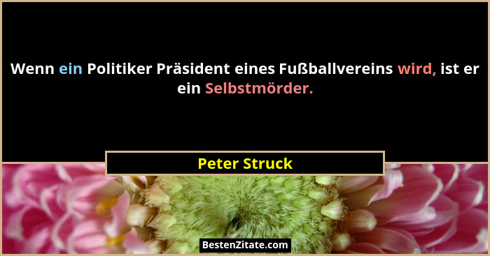 Wenn ein Politiker Präsident eines Fußballvereins wird, ist er ein Selbstmörder.... - Peter Struck