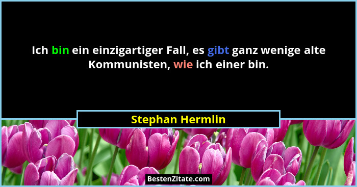 Ich bin ein einzigartiger Fall, es gibt ganz wenige alte Kommunisten, wie ich einer bin.... - Stephan Hermlin